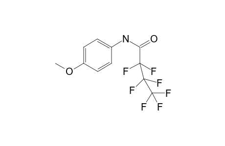 MeOPP-M (4-methoxyaniline) HFB    @