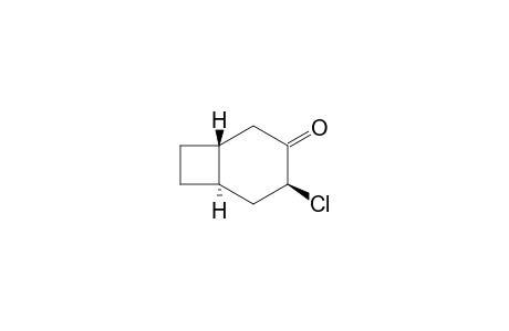 (1R,3S,6R)-3-chlorobicyclo[4.2.0]octan-4-one