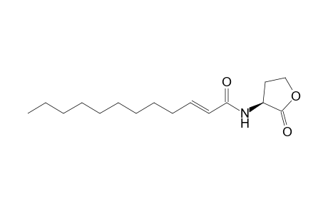 (S)-N-(2E)-Dodecenoyl-homoserine lactone