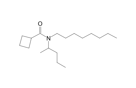 Cyclobutanecarboxamide, N-(2-pentyl)-N-octyl-