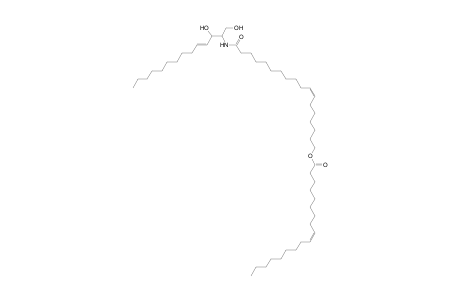 Cer 14:1;2O/18:1;O(FA 18:1)