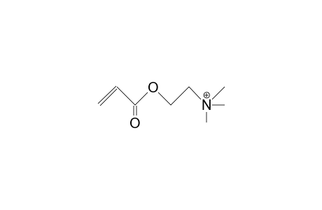 Acrylic acid, 2-trimethylammonio-ethyl ester cation