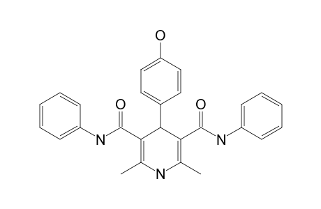 4-(4-HYDROXYPHENYL)-2,6-DIMETHYL-N(3),N(5)-DIPHENYL-1,4-DIHYDRO-PYRIDINE-3,5-DICARBOXAMIDE
