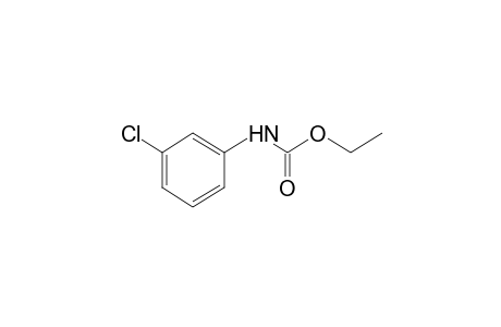 m-chlorocarbanilic acid, ethyl ester