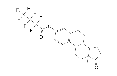 Estrone, heptafluorobutyrate