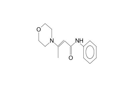 (E)-N-phenyl-3-morpholino-2-butenamide