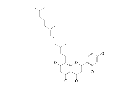 MORALBANONE;8-(3,7,11-TRIMETHYL-2,6,10-DODECATRIENYL)-2-(2,4-DIHYDROXYPHENYL)-5,7-DIHYDROXY-4H-1-BENZOPYRAN-4-ONE