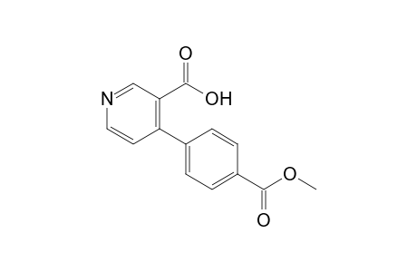 4-[(4-Methoxycarbonyl)phenyl]pyridine-3-carbpxylic acid