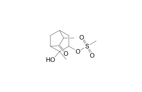 Bicyclo[3.2.1]octan-6-one, 4-hydroxy-4,7-dimethyl-3-[(methylsulfonyl)oxy]-, (exo,exo,exo)-(.+-.)-