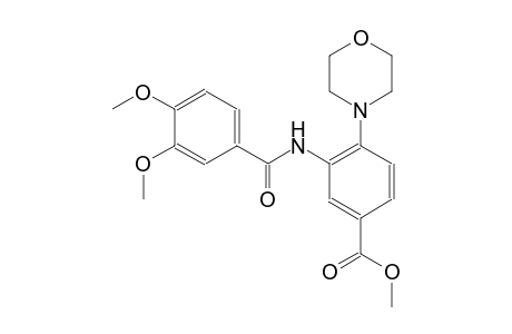 benzoic acid, 3-[(3,4-dimethoxybenzoyl)amino]-4-(4-morpholinyl)-, methyl ester