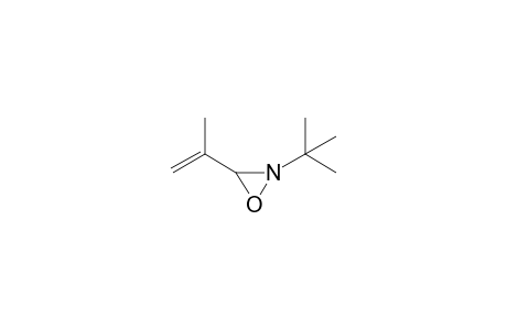 2-tert-butyl-3-prop-1-en-2-yloxaziridine