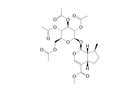 7-DEOXY-LOGANIN-TETRAACETATE