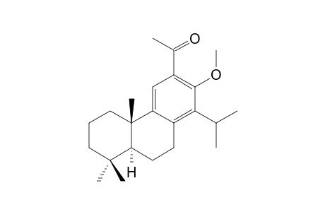 12-ACETYL-13-METHOXYTOTARA-8,11,13-TRIENE