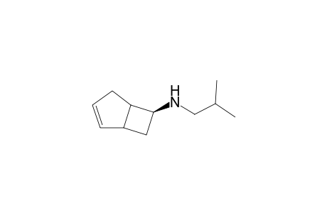 N-iso-Butylaminobicyclo[3.2.0]hept-2-ene isomer