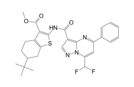 methyl 6-tert-butyl-2-({[7-(difluoromethyl)-5-phenylpyrazolo[1,5-a]pyrimidin-3-yl]carbonyl}amino)-4,5,6,7-tetrahydro-1-benzothiophene-3-carboxylate