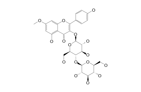NERVILIFORDIN_B;RHAMNOCITRIN-3-O-BETA-D-GLUCOPYRANOSYL-(1->4)-BETA-D-GLUCOPYRANOSIDE