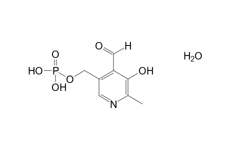Pyridoxal 5-phosphate, monohydrate