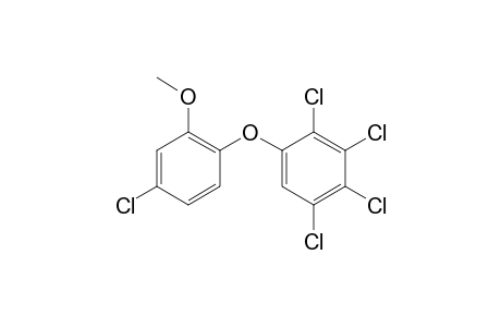 1,2,3,4-tetrachloro-5-(4-chloro-2-methoxyphenoxy)benzene
