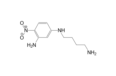 N~1~-(4-aminobutyl)-4-nitro-1,3-benzenediamine