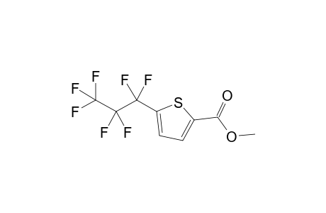 5-Methoxycarbonyl-2-(heptafluoropropyl)thiophene