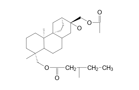 17-ACETOXY-13A-HYDROXY-19-(3-METHYLVALERYLOXY)VILLANOVAN