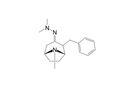 2-Benzyl-3-(2,2-dimethylhydrazono)-8-methyl-8-azabicyclo[3.2.1]octane