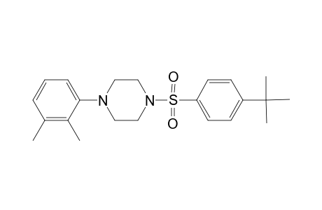 1-[(4-tert-butylphenyl)sulfonyl]-4-(2,3-dimethylphenyl)piperazine