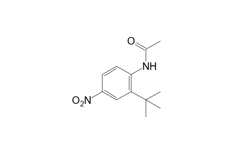 2'-tert-butyl-4'-nitroacetanilide