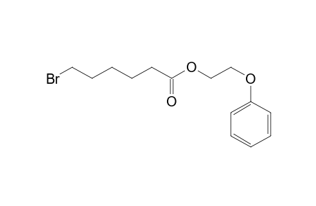 6-Bromocaproic acid, 2-(phenoxy)ethyl ester