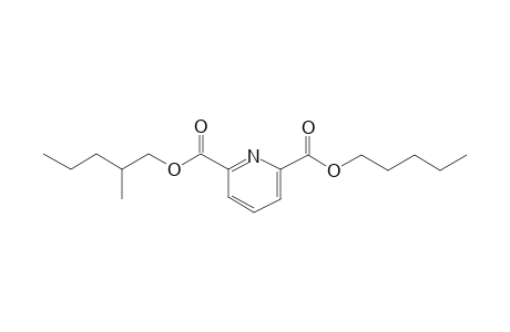 2,6-Pyridinedicarboxylic acid, 2-methylpentyl pentyl ester