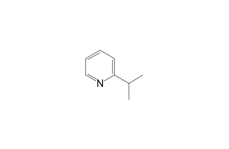 2-propan-2-ylpyridine