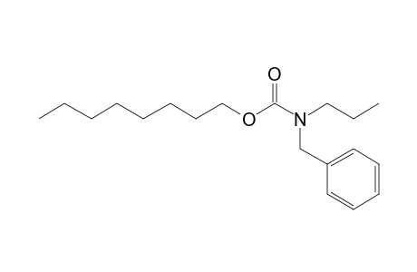 Carbonic acid, monoamide, N-benzyl-N-propyl-, octyl ester