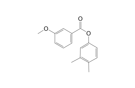 3-Methoxy-benzoic acid 3,4-dimethyl-phenyl ester