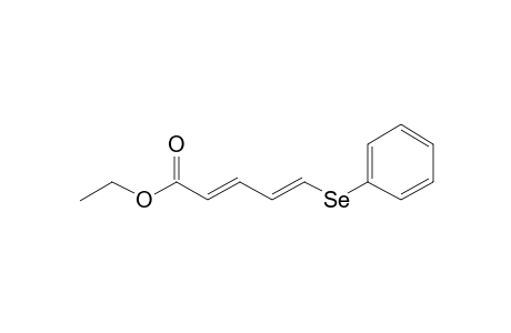 Ethyl 5-Phenylselanyl-2,4-pentadienoate