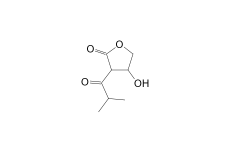 Isobutyrylcarnitine oxylactone