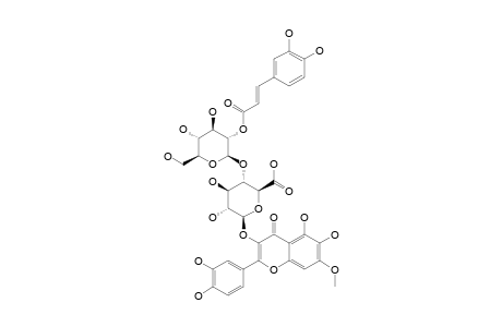 QUERCETAGETIN-7-METHYLETHER-3-O-[2-O-CAFFEOYL-BETA-D-GLUCOPYRANOSYL-(1->2)-O-BETA-D-GLUCURONOPYRANOSIDE]