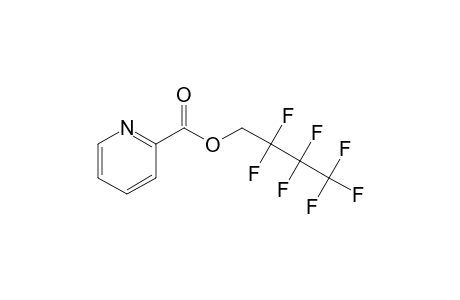 2-Pyridinecarboxylic acid, 2,2,3,3,4,4,4-heptafluorobutyl ester