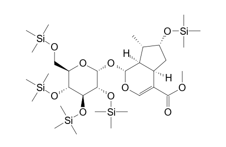 Cyclopenta[c]pyran-4-carboxylic acid, 1,4a,5,6,7,7a-hexahydro-7-methyl-1-[[2,3,4,6-tetrakis-O-(trimethylsil yl)-.alpha.-D-glucopyranosyl]oxy]-6-[(trimethylsilyl)oxy]-, methyl ester, [1S-(1.alpha.,4a.alpha.,6.alpha.,7.alpha.,7a.alpha.)]-