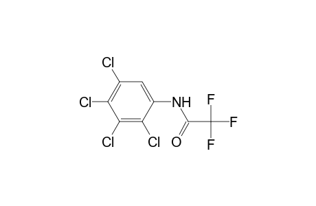 N-trifluoroacetyl 2,3,4,5-tetrachloroaniline