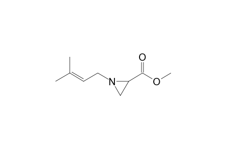 Methyl 1-(3'-methylbut-2'-enyl)-aziridine-2-carboxylate