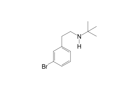 N-tert-Butyl-3-bromophenethylamine