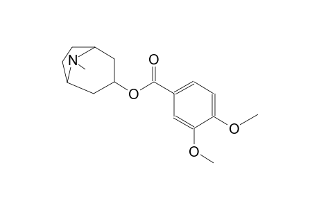 8-methyl-8-azabicyclo[3.2.1]oct-3-yl 3,4-dimethoxybenzoate