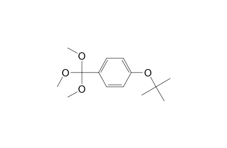 Benzene, 1-(1,1-dimethylethoxy)-4-(trimethoxymethyl)-