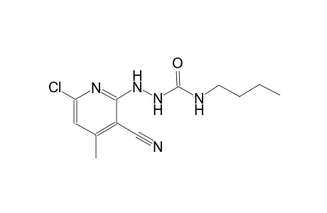 N-butyl-2-(6-chloro-3-cyano-4-methyl-2-pyridinyl)hydrazinecarboxamide