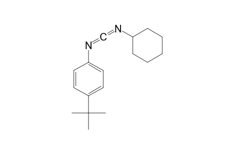 Benzenamine, N-(cyclohexylcarbonimidoyl)-4-(1,1-dimethylethyl)-