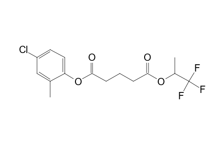 Glutaric acid, 1,1,1-trifluoroprop-2-yl 2-methyl-4-chlorophenyl ester