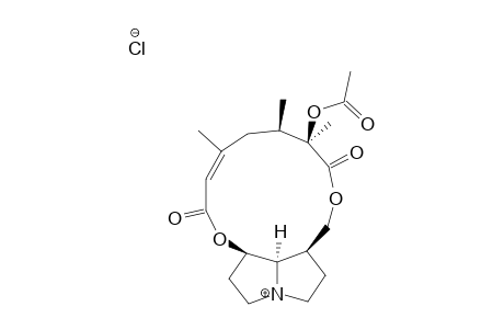 11-O-Acetyl-Bulgarsenine - Hydrochloride