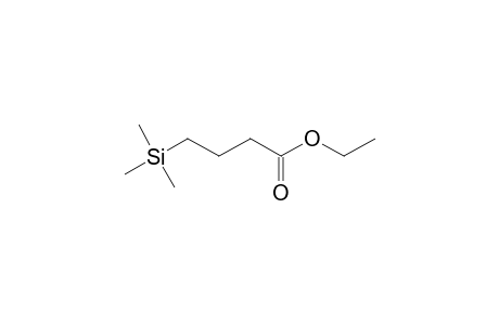 Ethyl 4-(Trimethylsilyl)butanoate