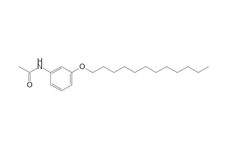 3'-(dodecyloxy)acetanilide