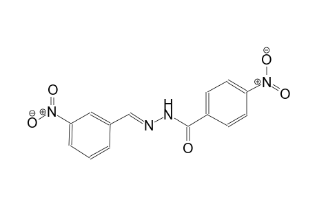 benzoic acid, 4-nitro-, 2-[(E)-(3-nitrophenyl)methylidene]hydrazide
